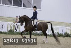 25R13_03831 thumbnail
