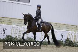 25R13_03833 thumbnail