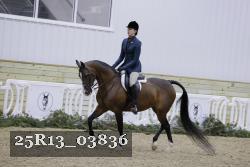 25R13_03836 thumbnail