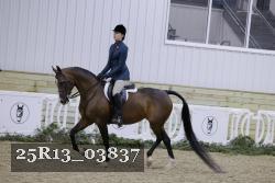 25R13_03837 thumbnail
