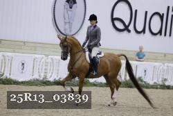 25R13_03839 thumbnail