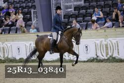 25R13_03840 thumbnail