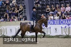 25R13_03841 thumbnail