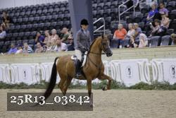 25R13_03842 thumbnail