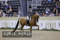 25R13_03843 thumbnail