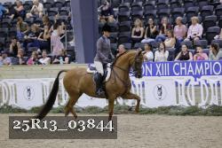 25R13_03844 thumbnail