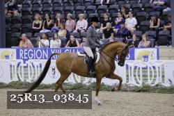 25R13_03845 thumbnail