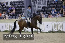 25R13_03846 thumbnail
