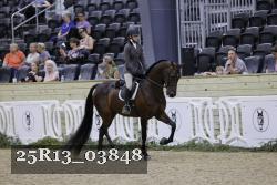 25R13_03848 thumbnail