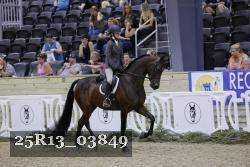 25R13_03849 thumbnail