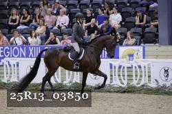 25R13_03850 thumbnail