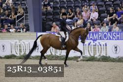 25R13_03851 thumbnail