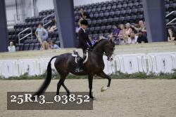 25R13_03852 thumbnail
