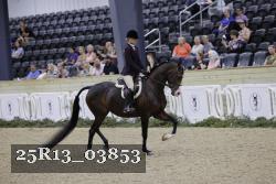 25R13_03853 thumbnail