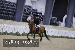 25R13_03877 thumbnail
