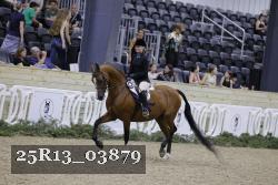 25R13_03879 thumbnail