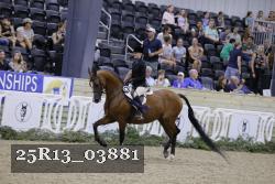 25R13_03881 thumbnail