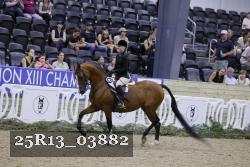 25R13_03882 thumbnail