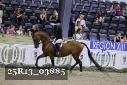25R13_03885 thumbnail
