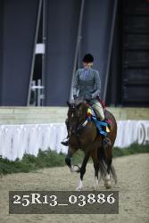 25R13_03886 thumbnail