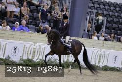 25R13_03887 thumbnail
