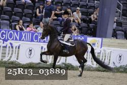 25R13_03889 thumbnail