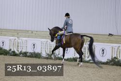 25R13_03897 thumbnail