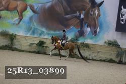 25R13_03899 thumbnail