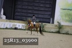25R13_03900 thumbnail