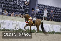 25R13_03901 thumbnail