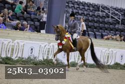 25R13_03902 thumbnail