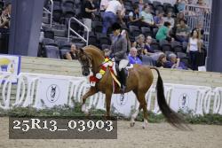 25R13_03903 thumbnail
