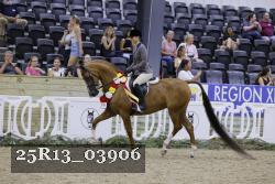 25R13_03906 thumbnail