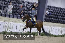 25R13_03908 thumbnail
