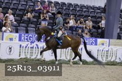 25R13_03911 thumbnail