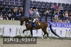 25R13_03912 thumbnail