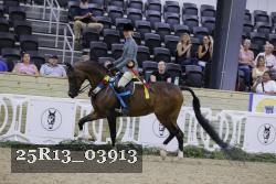 25R13_03913 thumbnail