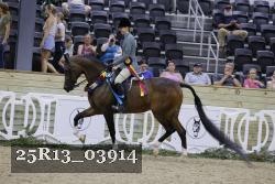 25R13_03914 thumbnail