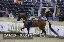 25R13_03915 thumbnail