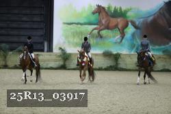 25R13_03917 thumbnail