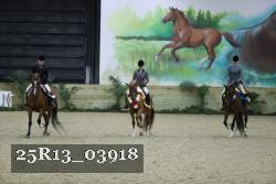 25R13_03918 thumbnail