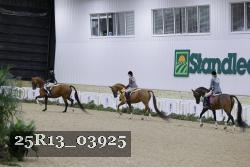 25R13_03925 thumbnail