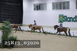25R13_03926 thumbnail