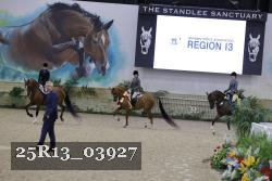 25R13_03927 thumbnail