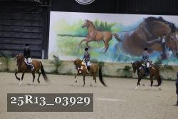 25R13_03929 thumbnail