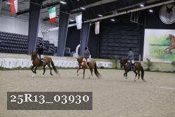 25R13_03930 thumbnail
