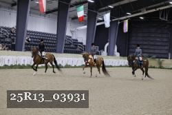 25R13_03931 thumbnail