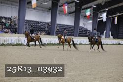 25R13_03932 thumbnail
