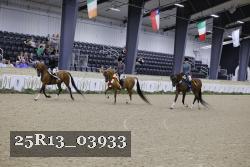 25R13_03933 thumbnail