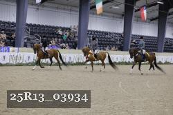 25R13_03934 thumbnail